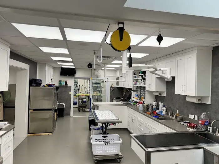 Pet Clinic of Rocky Mount 5