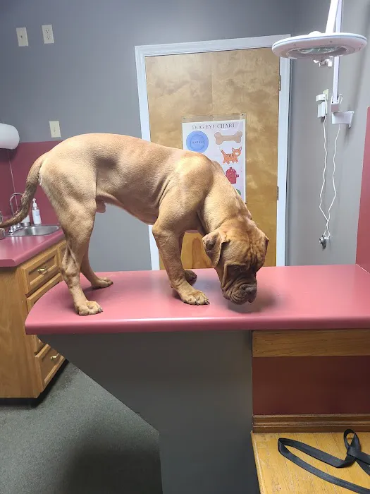 Pet Clinic of Rocky Mount 9