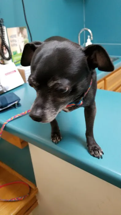 Pet Clinic of Rocky Mount 3