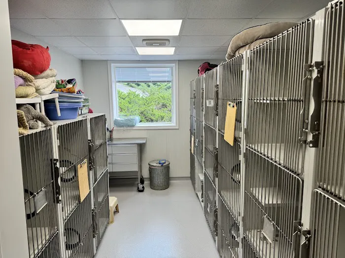 Pet Clinic of Rocky Mount 2