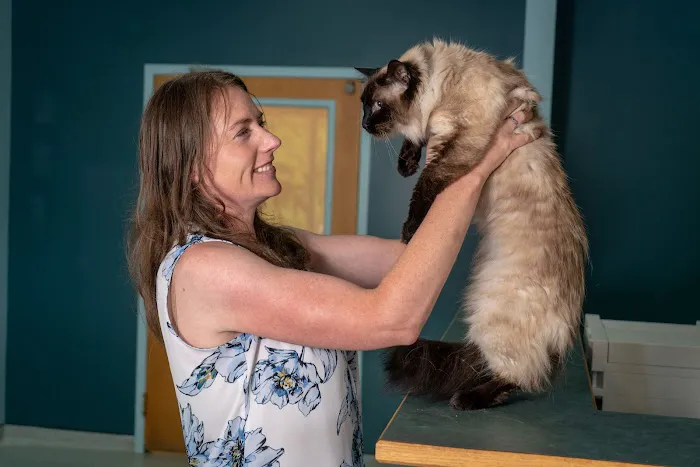 Whiskers & Tails Floyd Vet Hospital 7