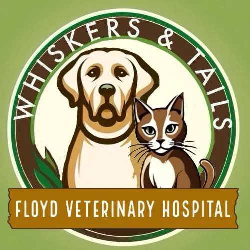 Whiskers & Tails Floyd Vet Hospital 6