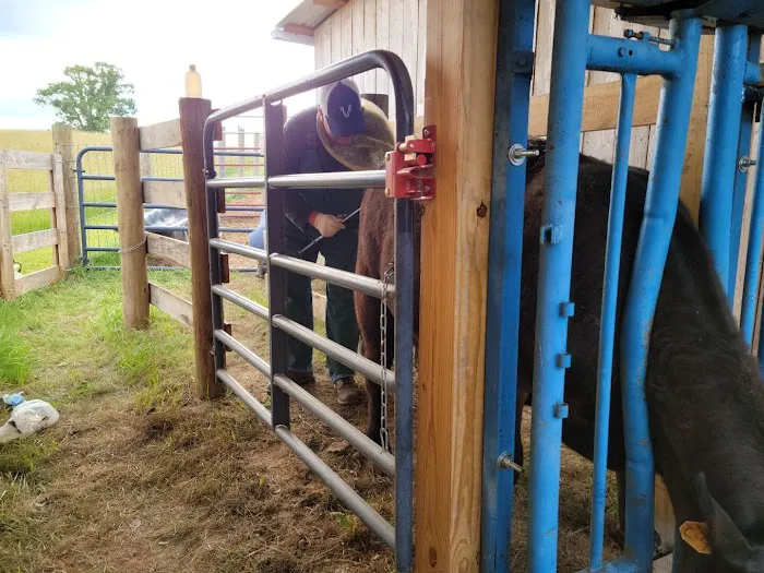 New River Veterinary Services 10