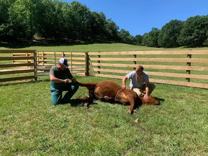 New River Veterinary Services 3