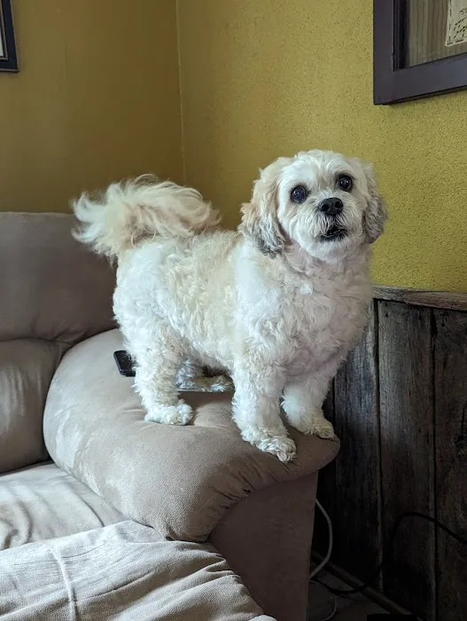 Riner Animal Clinic 3