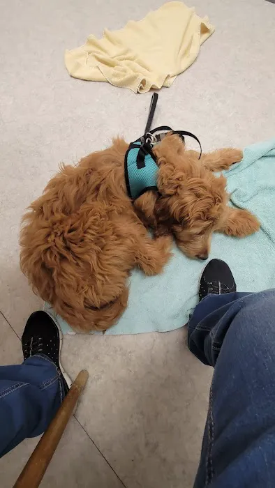 Riner Animal Clinic 4