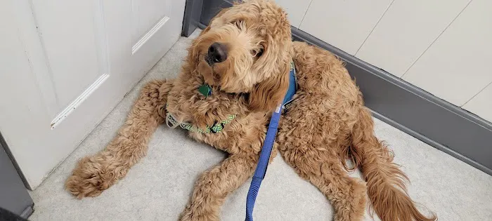 Riner Animal Clinic 6