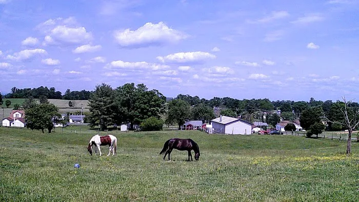 Appalachian Veterinary Services, Inc. 1