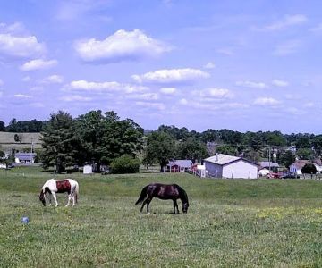 Appalachian Veterinary Services, Inc.