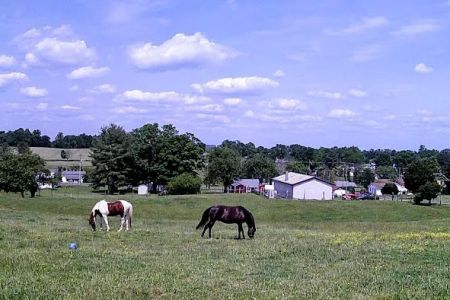 Appalachian Veterinary Services, Inc.