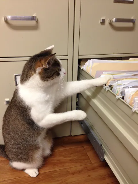 Appalachian Veterinary Services, Inc. 5