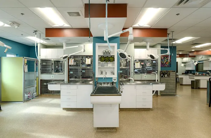 Town & Country Veterinary Clinic 2