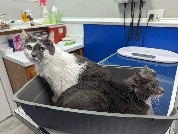 Blacksburg Animal Clinic 6