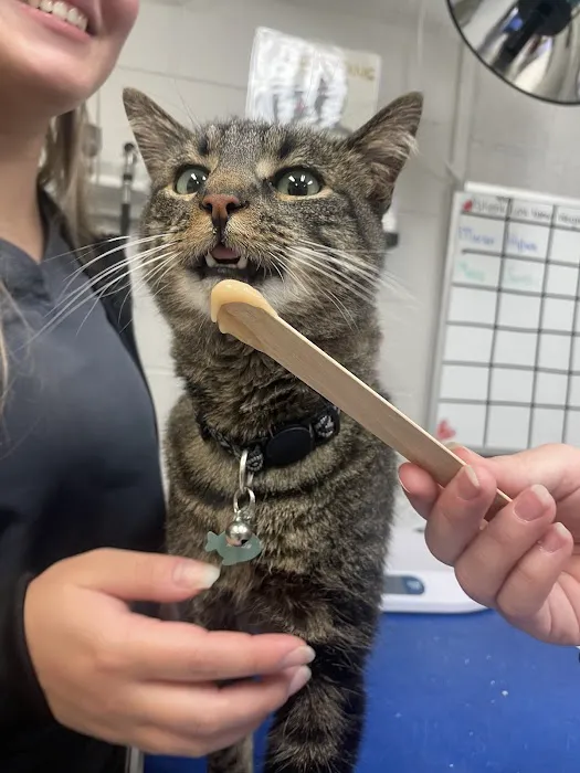 Blacksburg Animal Clinic 8