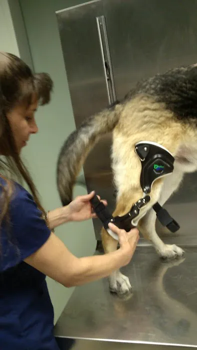 Riverside Veterinary Clinic 5