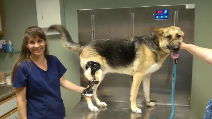 Riverside Veterinary Clinic 4