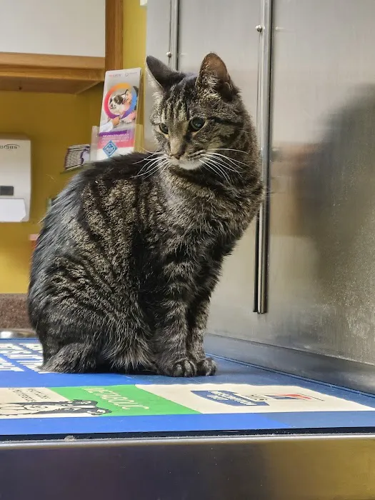 Riverside Veterinary Clinic: Potter Cliff DVM 1