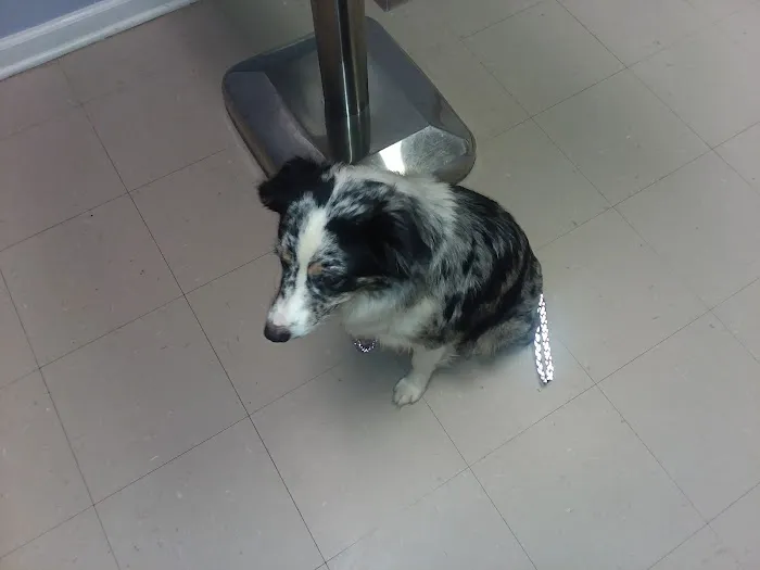 Riverside Veterinary Clinic: Potter Cliff DVM 2