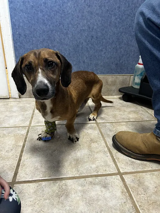 Brosville Animal Clinic 12