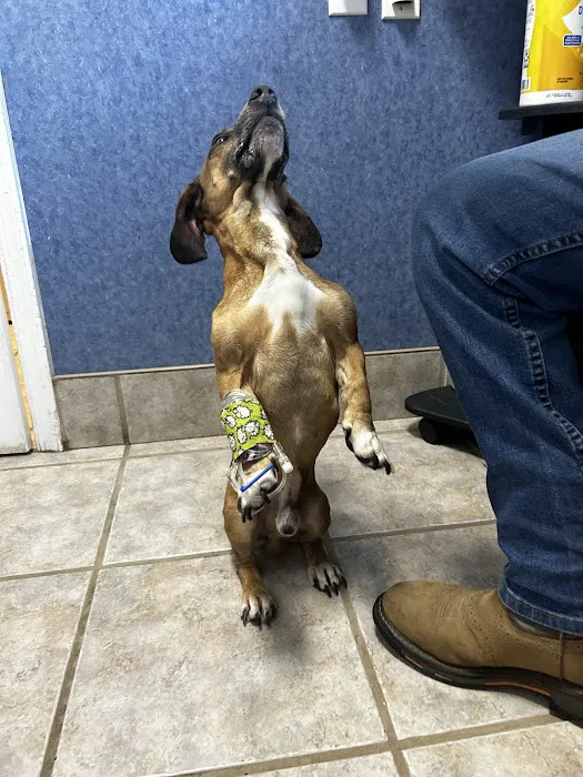 Brosville Animal Clinic 12