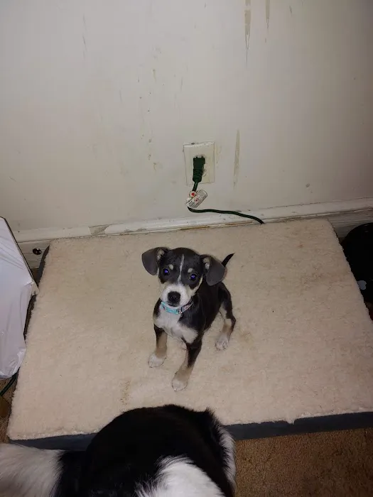 Brosville Animal Clinic 12