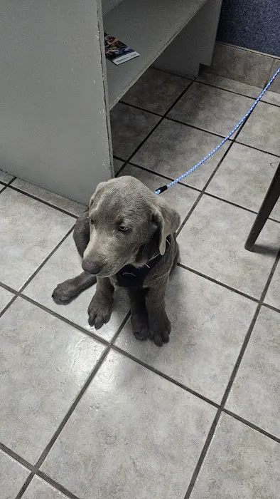 Brosville Animal Clinic 12