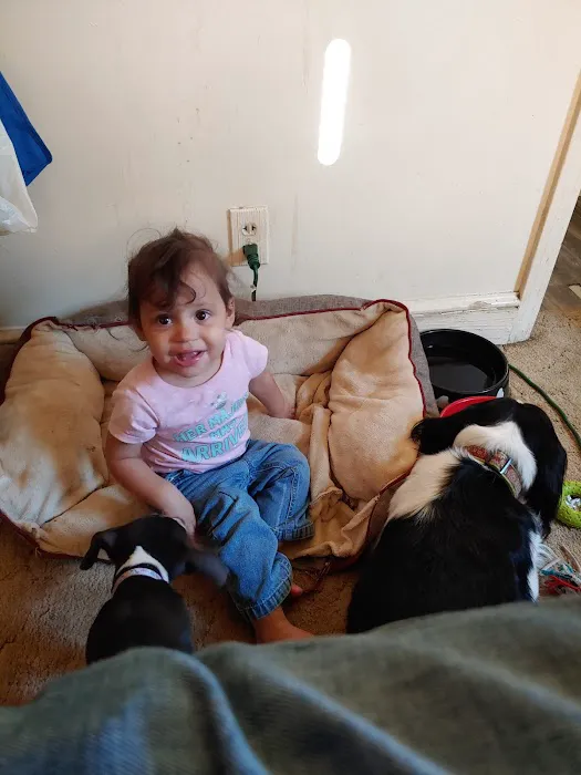 Brosville Animal Clinic 12