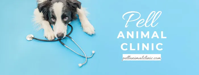 Pell Animal Clinic, Inc. / Farm Veterinary Services, Inc. 7