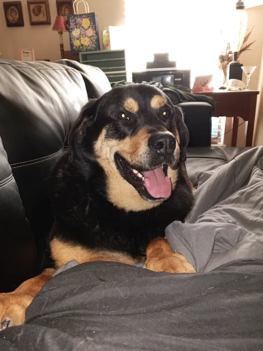Franklin County Animal Hospital 10