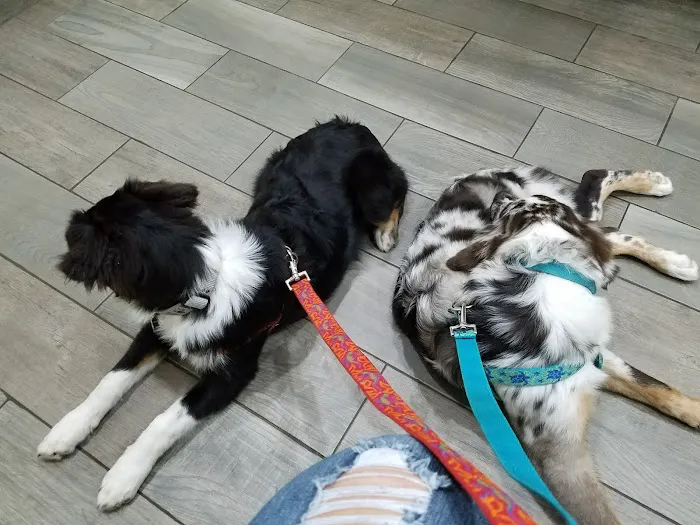 Franklin County Animal Hospital 3