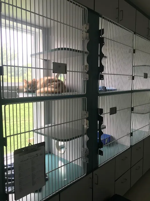 Noah's Ark Animal Complex 6