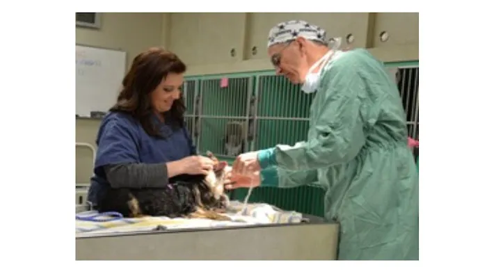 Canby Veterinary Clinic Inc 12