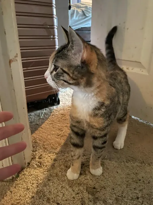 Birch Street Animal Clinic 12