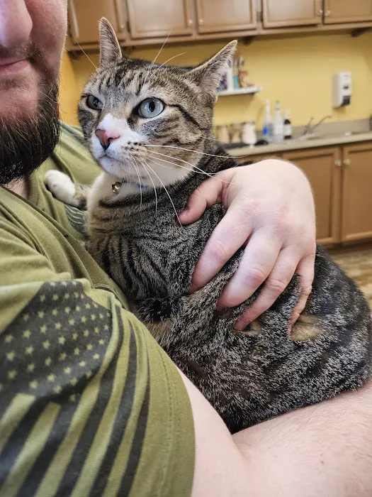 Birch Street Animal Clinic 12