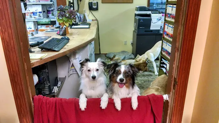 Birch Street Animal Clinic 12