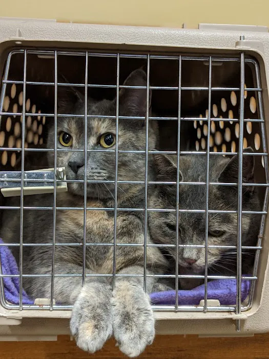 Birch Street Animal Clinic 12