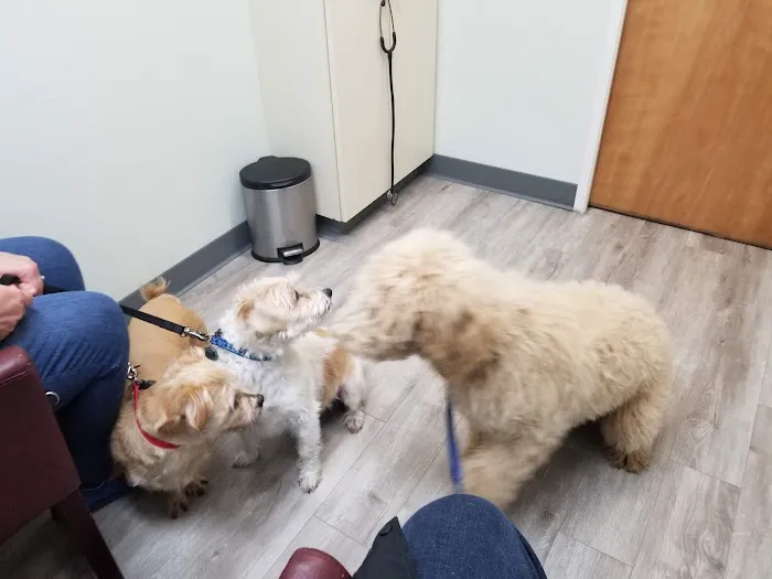 Hope Animal Hospital 10