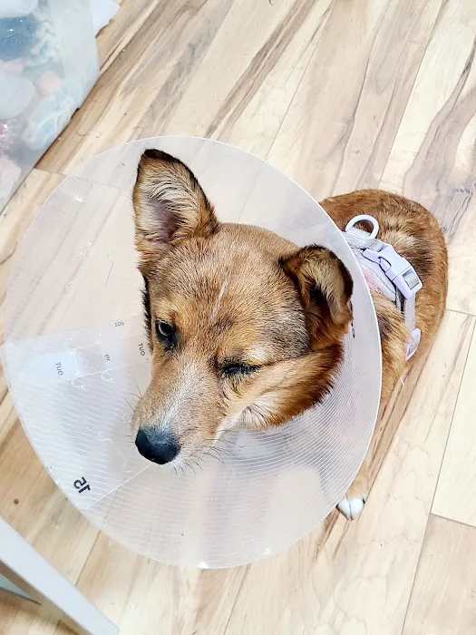 Hope Animal Hospital 2