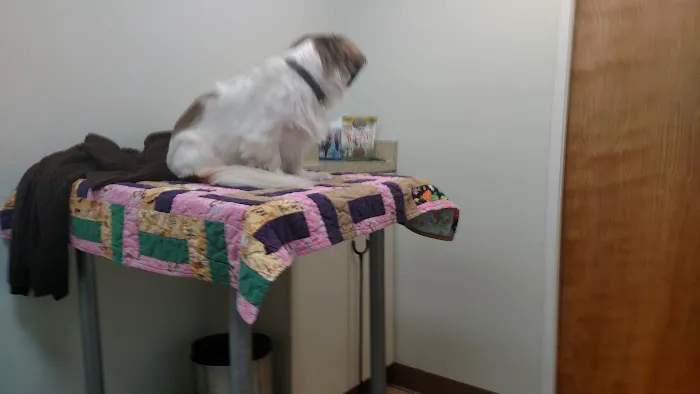 Hope Animal Hospital 5