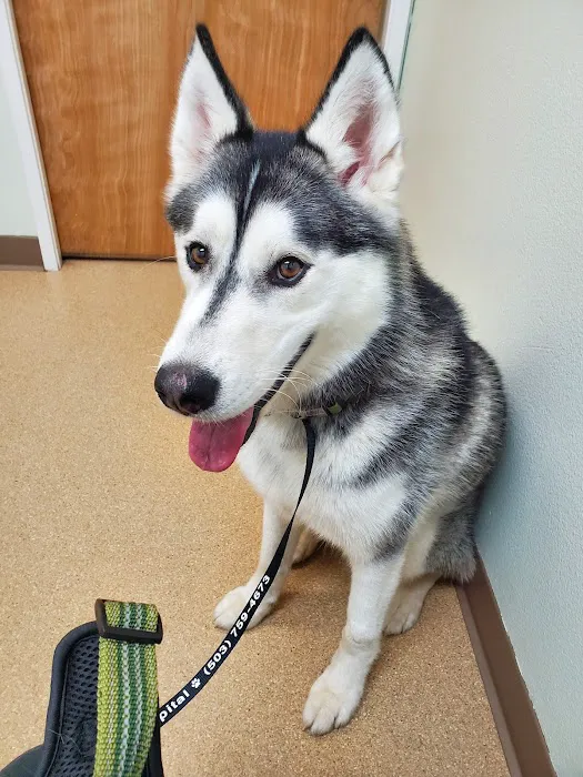 Hope Animal Hospital 8