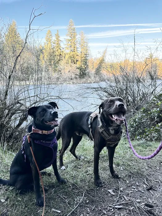 Molalla River Veterinary Center 10