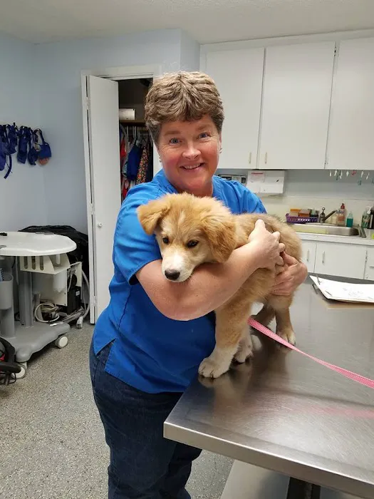 South Clackamas Veterinary Services 10