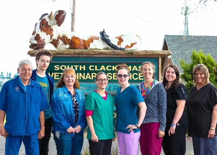 South Clackamas Veterinary Services 6