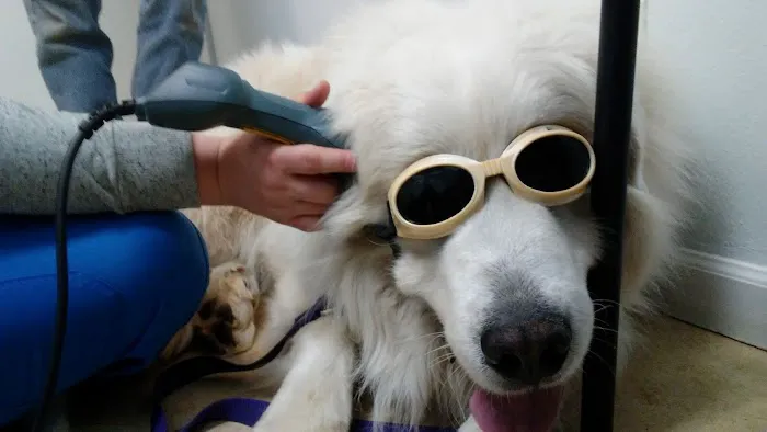 South Clackamas Veterinary Services 1