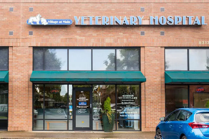 Village at Main Veterinary Hospital 12