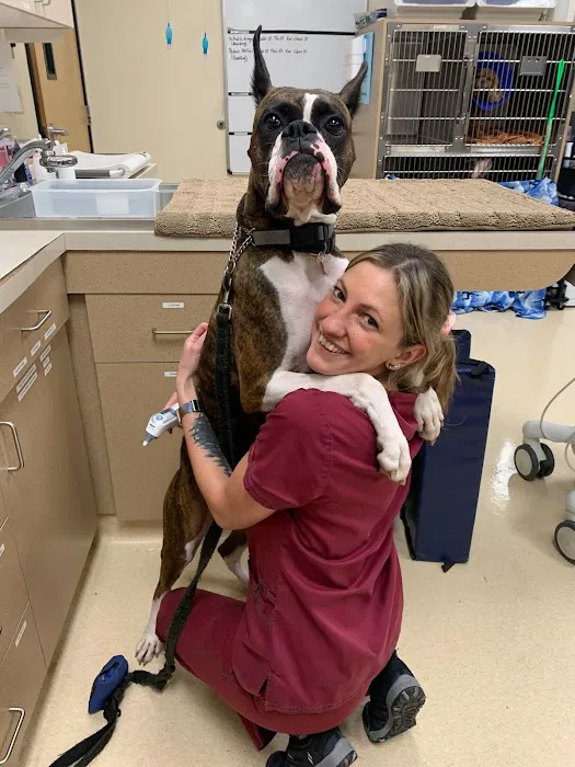 Animal Care Clinic 12