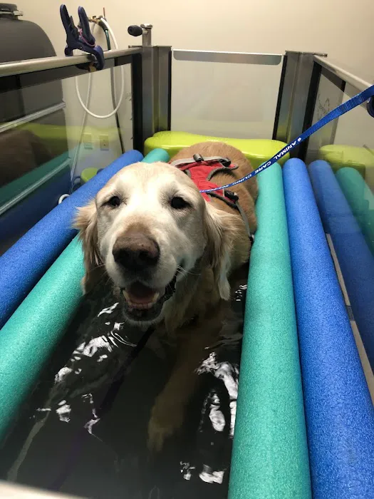 Animal Care Clinic 12