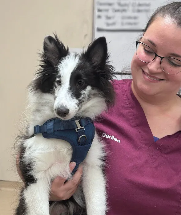 Animal Care Clinic 12