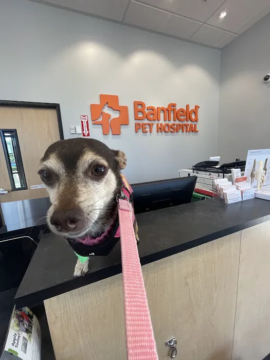 Banfield Pet Hospital 12