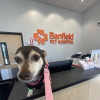 Banfield Pet Hospital ico